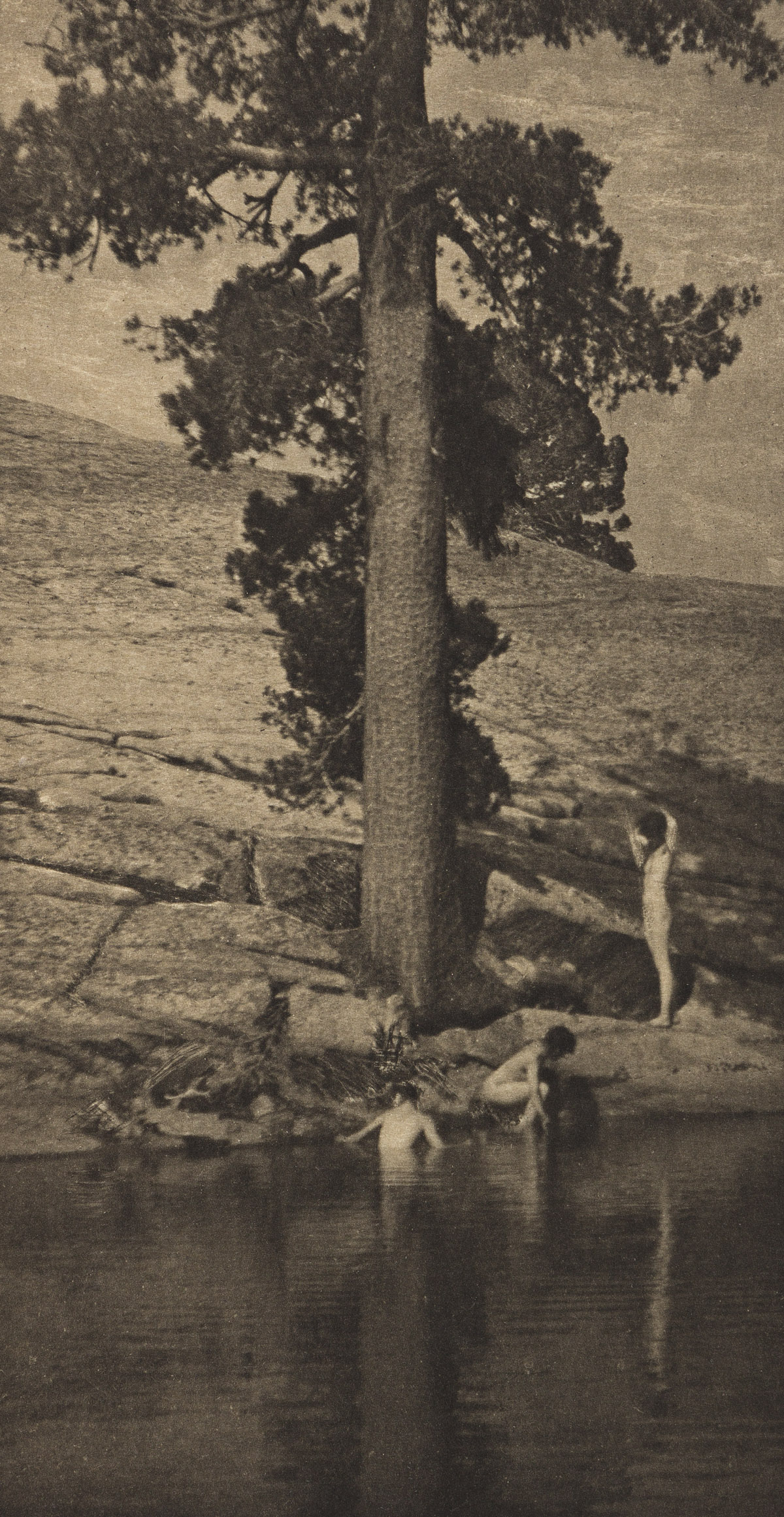 ANNE BRIGMAN (1869-1950) The Brook * Dawn * The Pool * Dryads (2).